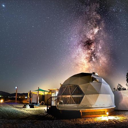 The Kosmic Tortoise Hotel Twentynine Palms Buitenkant foto
