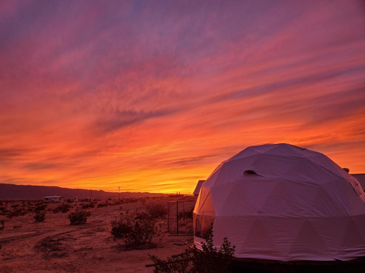 The Kosmic Tortoise Hotel Twentynine Palms Buitenkant foto