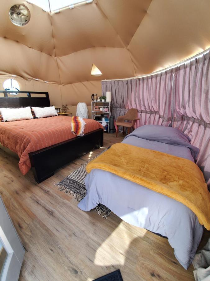 The Kosmic Tortoise Hotel Twentynine Palms Buitenkant foto